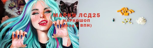 спиды Новокубанск