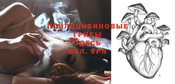 спиды Новокубанск